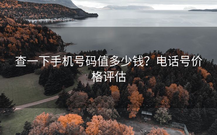 查一下手机号码值多少钱？电话号价格评估