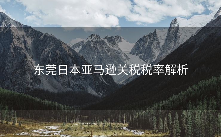 东莞日本亚马逊关税税率解析