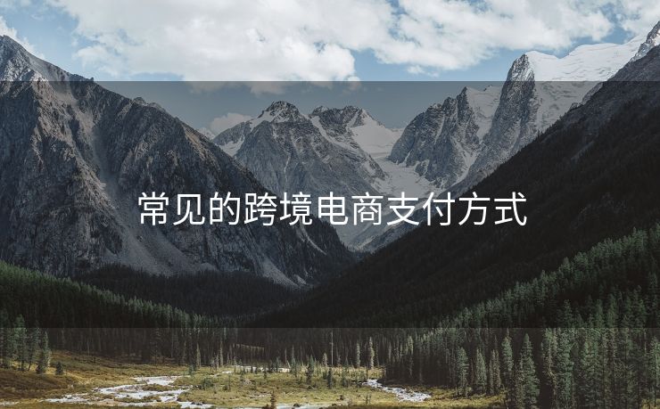 常见的跨境电商支付方式