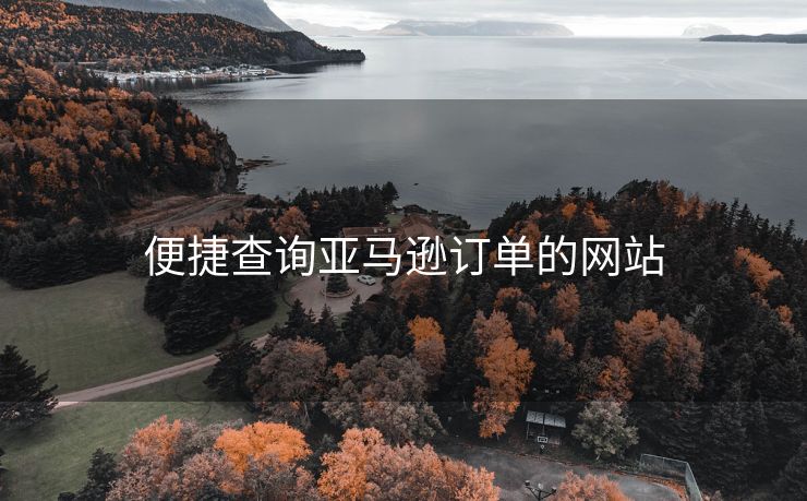 便捷查询亚马逊订单的网站