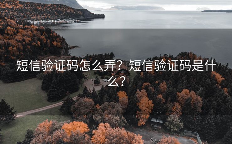 短信验证码怎么弄？短信验证码是什么？