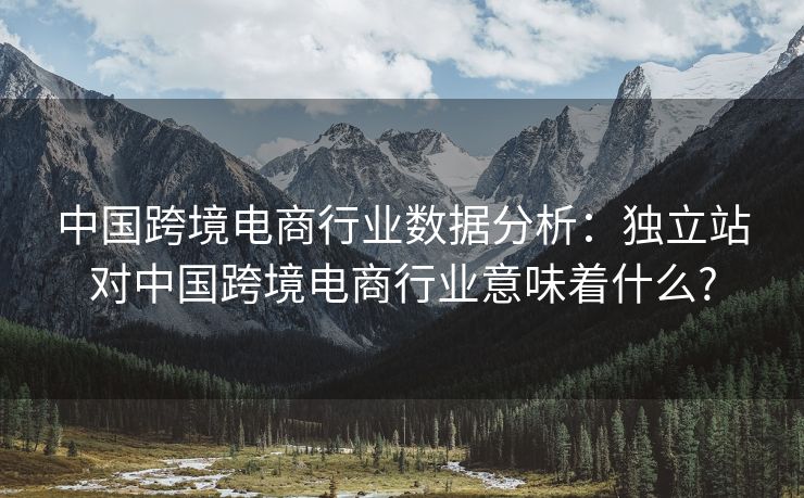 中国跨境电商行业数据分析：独立站对中国跨境电商行业意味着什么?