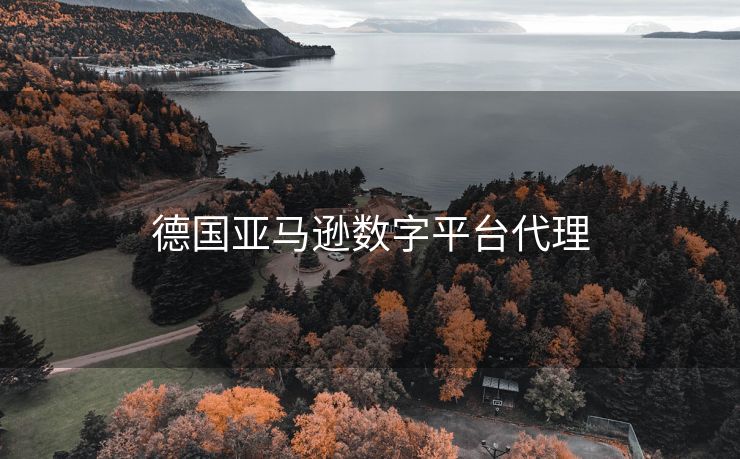 德国亚马逊数字平台代理