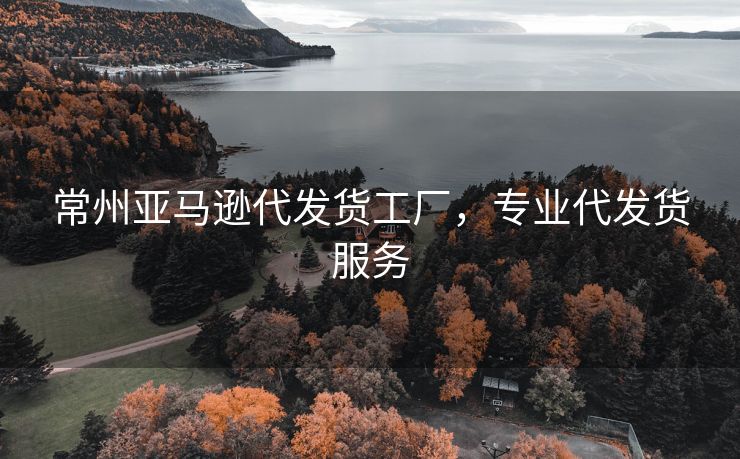 常州亚马逊代发货工厂，专业代发货服务