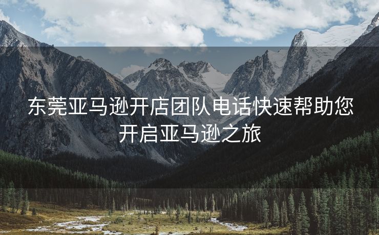 东莞亚马逊开店团队电话快速帮助您开启亚马逊之旅