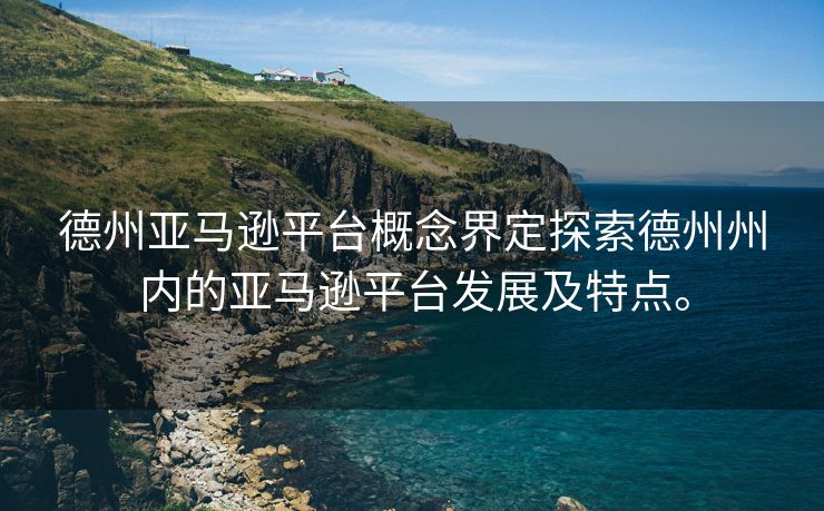 德州亚马逊平台概念界定探索德州州内的亚马逊平台发展及特点。
