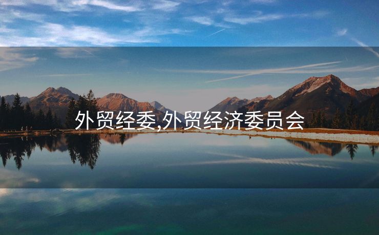 外贸经委,外贸经济委员会