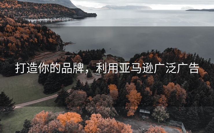 打造你的品牌，利用亚马逊广泛广告