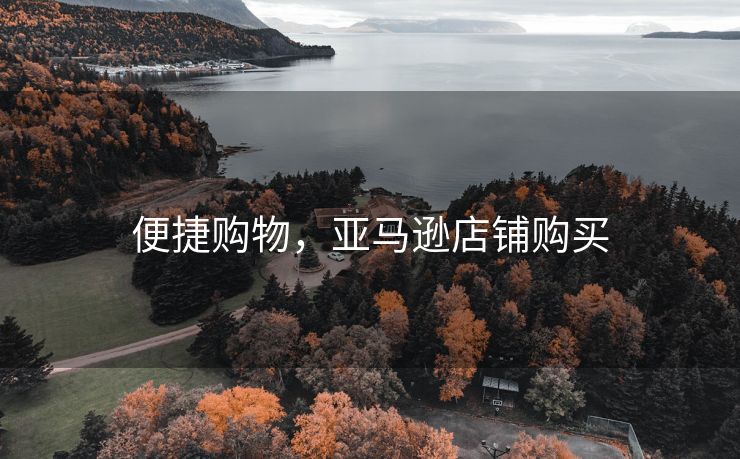 便捷购物，亚马逊店铺购买