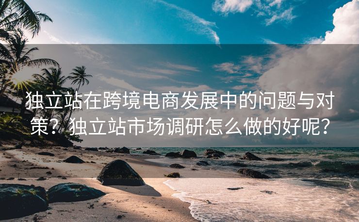 独立站在跨境电商发展中的问题与对策？独立站市场调研怎么做的好呢？
