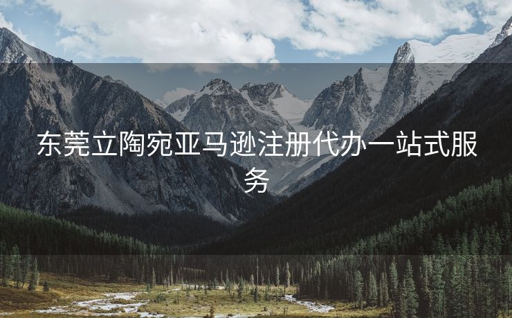 东莞立陶宛亚马逊注册代办一站式服务
