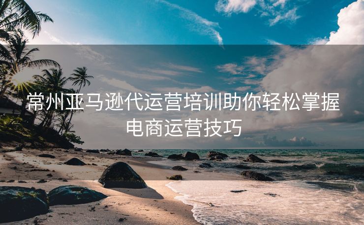 常州亚马逊代运营培训助你轻松掌握电商运营技巧