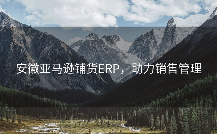 安徽亚马逊铺货ERP，助力销售管理