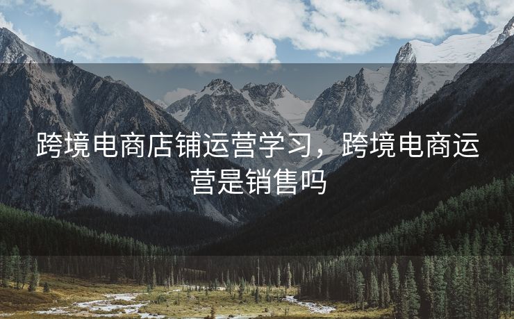 跨境电商店铺运营学习，跨境电商运营是销售吗