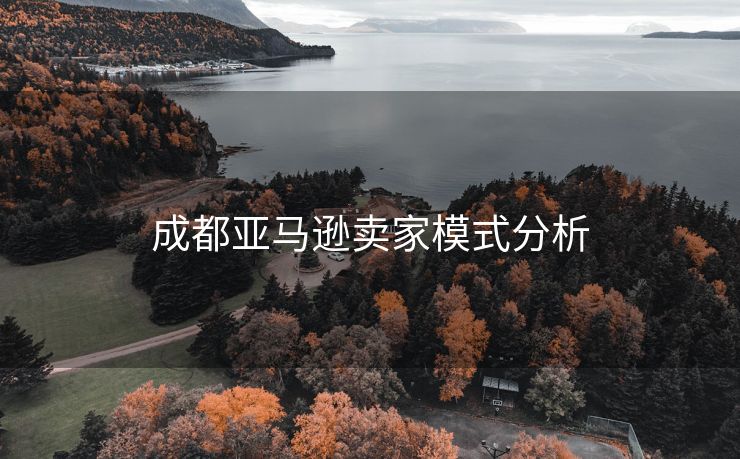成都亚马逊卖家模式分析
