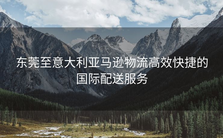 东莞至意大利亚马逊物流高效快捷的国际配送服务