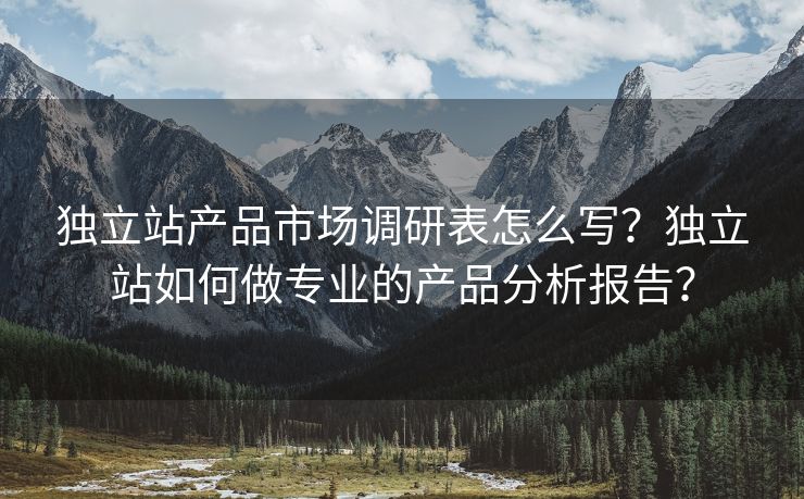 独立站产品市场调研表怎么写？独立站如何做专业的产品分析报告？