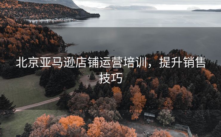 北京亚马逊店铺运营培训，提升销售技巧