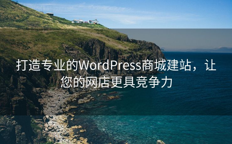 打造专业的WordPress商城建站，让您的网店更具竞争力