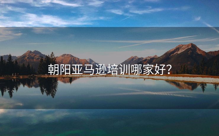 朝阳亚马逊培训哪家好？