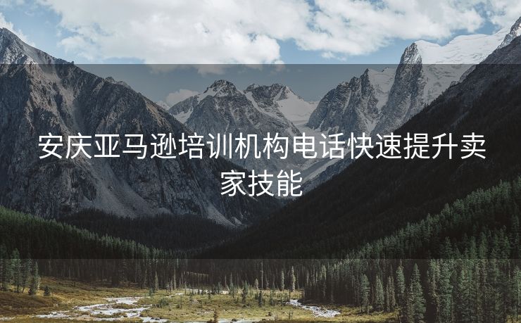 安庆亚马逊培训机构电话快速提升卖家技能