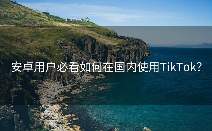 安卓用户必看如何在国内使用TikTok？
