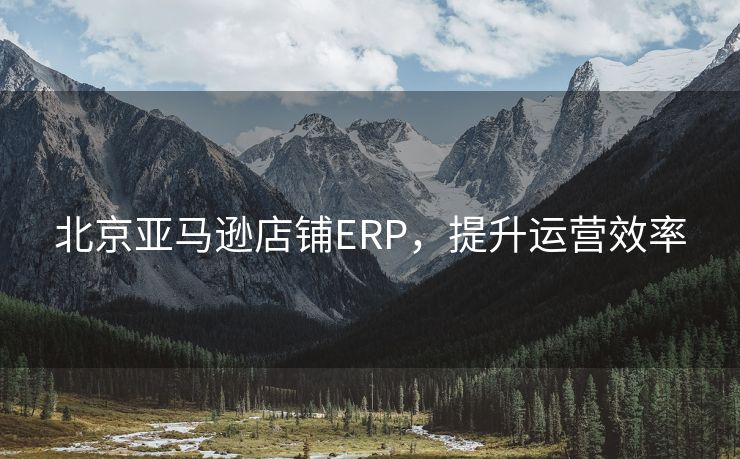 北京亚马逊店铺ERP，提升运营效率