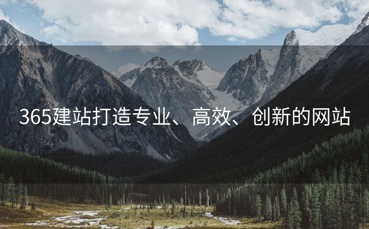 365建站打造专业、高效、创新的网站