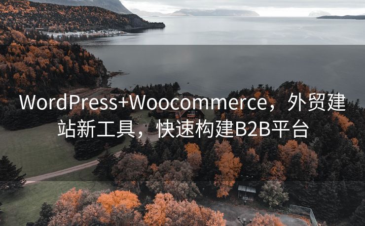 WordPress+Woocommerce，外贸建站新工具，快速构建B2B平台